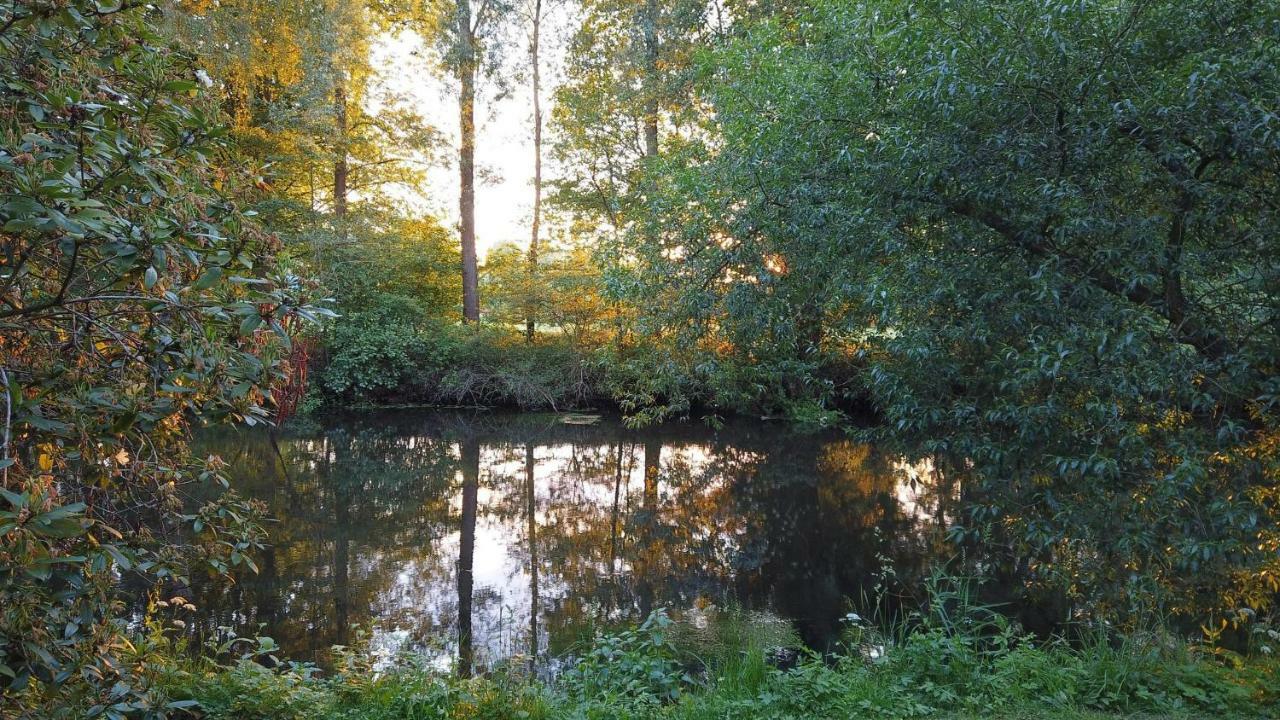 דירות באד בוונסן Fewo Lueneburger Heide - Aurelia מראה חיצוני תמונה